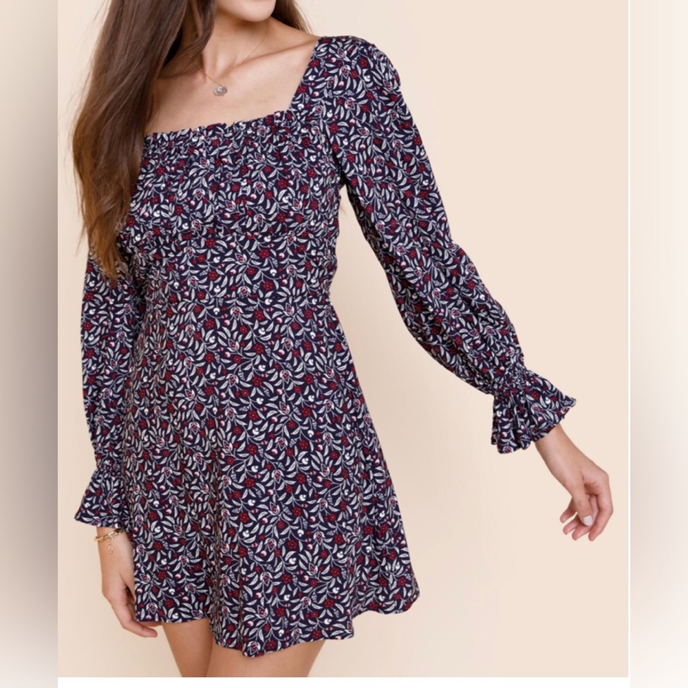 NWT Francesca’s Esther Floral A-Line Mini Dress